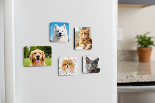 Variety of pets on fridge magnets on white fridge