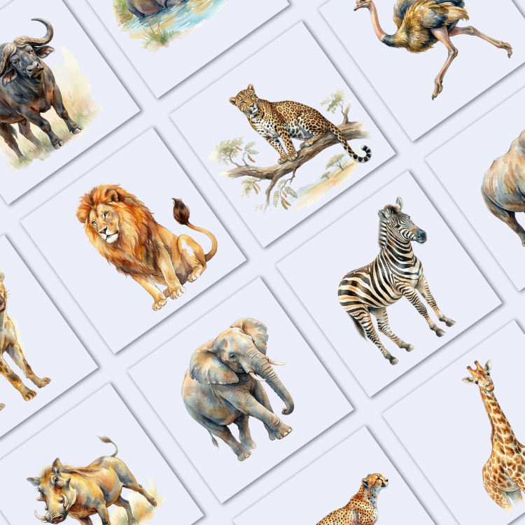 Safari Animal Set